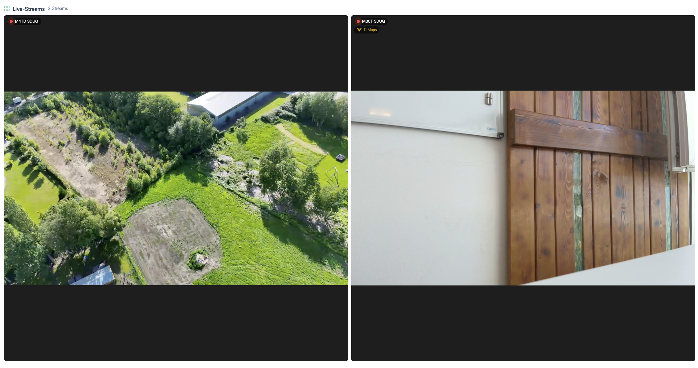 Streams-Ansicht mit zwei Live-Streams